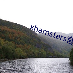 xhamsters官網入口