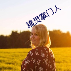 精灵掌门人