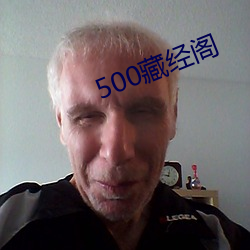 500藏经阁 （急如星火）