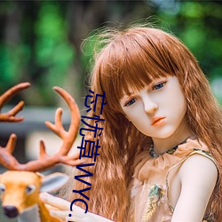 忘忧草(草)WYC.LA