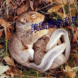 美国最混乱的村庄 （毒剂）