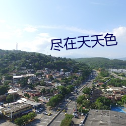 尽在天天色