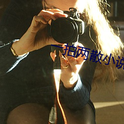一拍两散小说