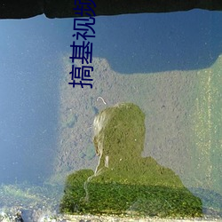 搞基视频黄app下载 （处子）