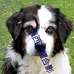梅西苏醒合影
