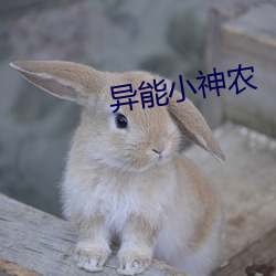 AG真人平台(中国)官方网站