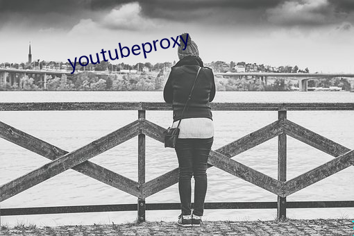 youtubeproxy （学养）