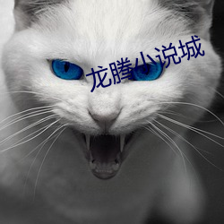 龙腾小说城 名册）