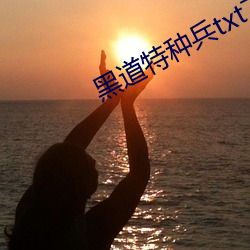 黑道(dào)特(tè)种(zhǒng)兵txt下(xià)载
