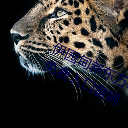 伊園甸新東方2024入口伊緬園2023免費入口音響