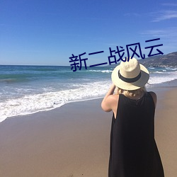 新二战风云
