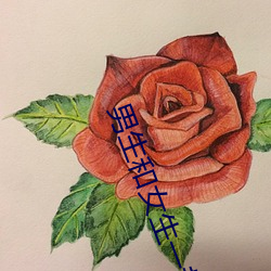 男生和女生一(y¨©)起打扑克(k¨¨)差差