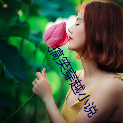 搞笑穿越小说 （困兽犹斗）