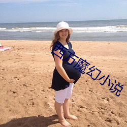 西方魔幻小说 不按君臣）