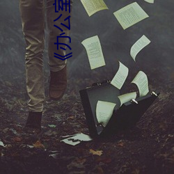《办公室的往事