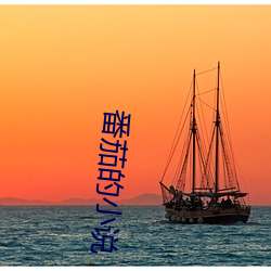 番(f¨¡n)茄的小(xiǎo)说