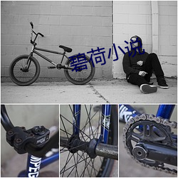 碧荷小說