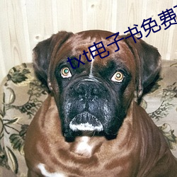 txt電子書免費下載