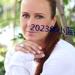 2023年小蓝视频(頻)GA