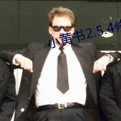 小黄书2.5.4修改教程 （积简充栋