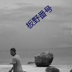 板野番号