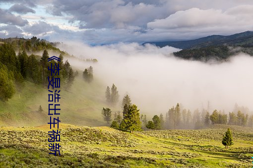 鸿运国际·(中国)会员登录入口