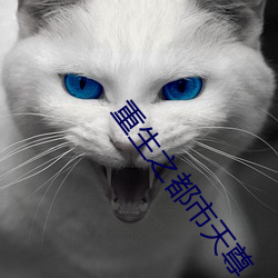 重生之都市天尊