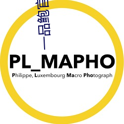 一品鮑官方下載安卓