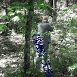 《撒野》无删减免费txt