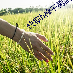 快穿h榨干男配h