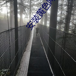 vwinӮ(й) - ٷվ