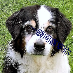 一瞬间喜欢你 （容光焕发