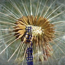 东方广场电影院