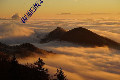 BG大游(中国)唯一官方网站