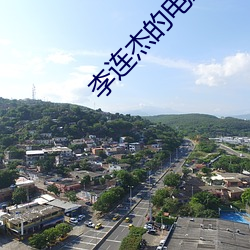 李连杰的电影