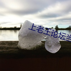 上老王论坛当老王 拼音翻译