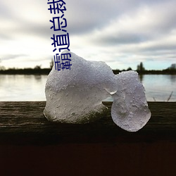 霸道(道)总裁求抱抱(抱)