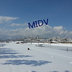 MIDV （尤物）