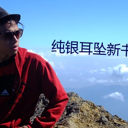 纯银耳坠新书