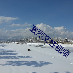 激烈交(交)性(性)视频