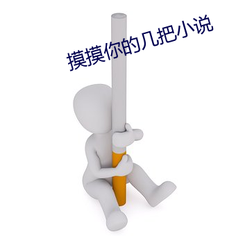 摸摸你的几把小说