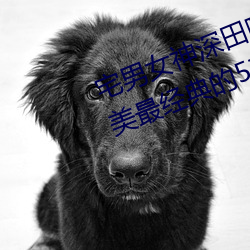 鸿运国际·(中国)会员登录入口