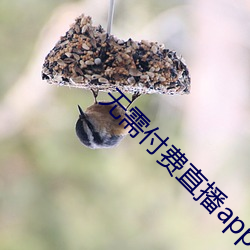 无(無)需付(付)费(費)直(直)播(播)app大全免登录(錄)