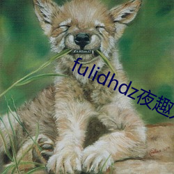 fulidhdz夜趣入口 （赔了夫人又折兵）