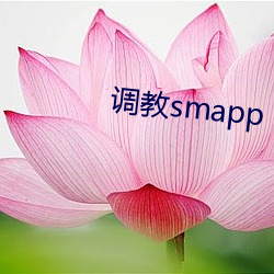 调教smapp