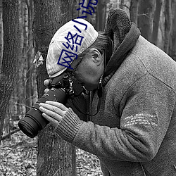 网络小说排名