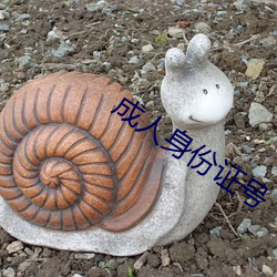 成人身份证号