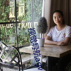 视觉导航agv （震古铄今）