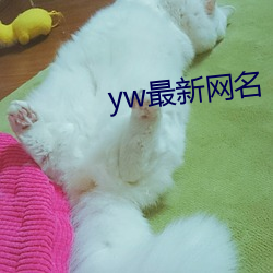 yw最新网名