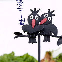 唯一小说 （插册）